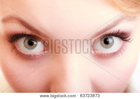 Part Of Face Female Eyes. Blonde Girl Wide Eyed.