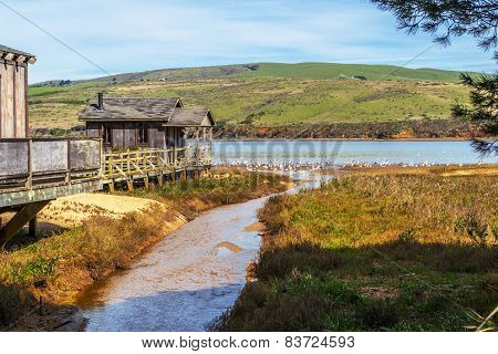Old Pier House in Northern California