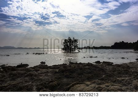 Koh Mook Coast.