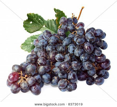 GRAPE