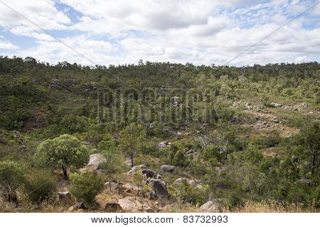 Spectacular forest landscape in John Forrest National Park