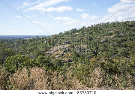 Spectacular forest landscape in John Forrest National Park