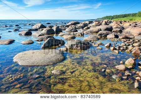 Coast Of Baltic Sea. Estonia