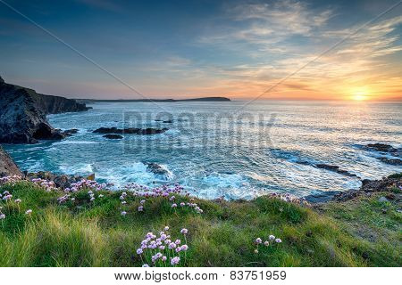 Cornish Clifftops