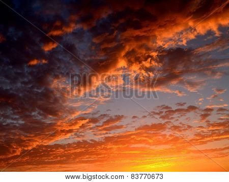 evening sky.