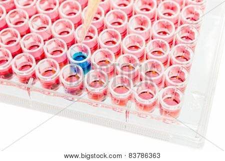 test lab elisa plate