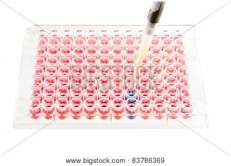 test lab elisa plate analysis on white