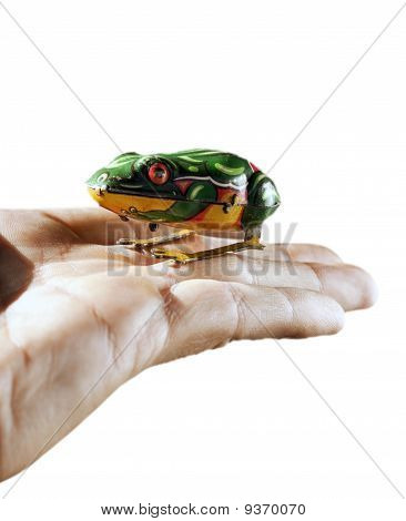 Zinn-Eisen-Frosch