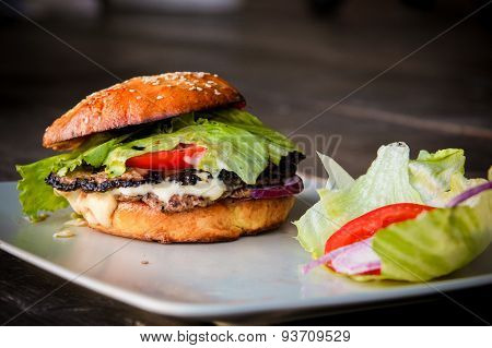 Homemade Hamburger
