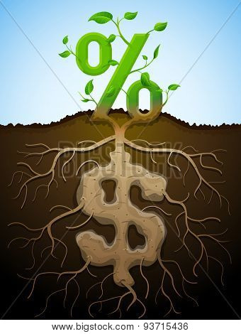 Growing Percent Sign As Plant With Leaves And Dollar Sign As Root