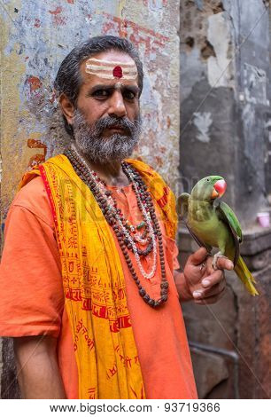 VARANASI, INDIA - 25 FEBRUARY 2015: Indian man pretending to be a sadhu holds parrot that shows wings. Fake holy men are common on India's streets.