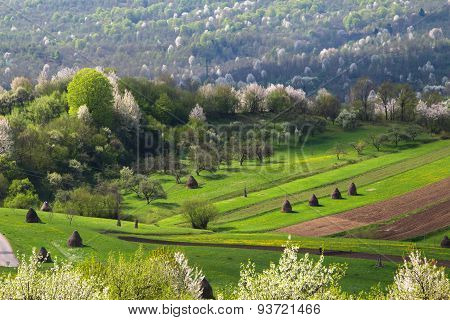 Fields And Haystacks