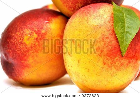 Nettarine