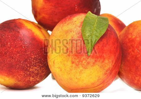 Nettarine
