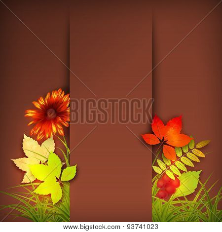 Autumn Vector Fall Leaves