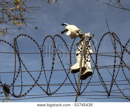 Giraffe Toy On Barbed Wire