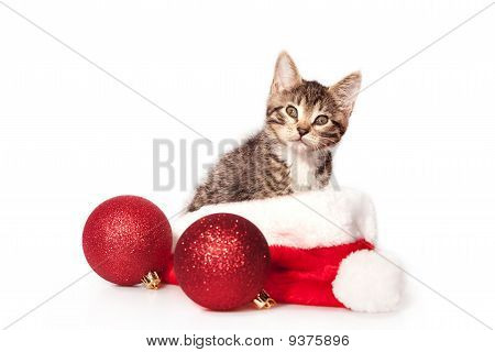 Noel Kitty