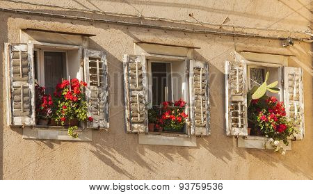 Muggia,windows Typical Of The Town.