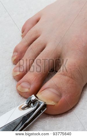Toenail Cutting 01