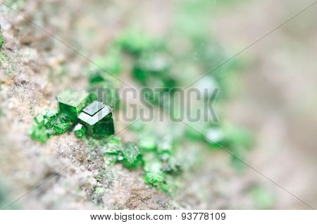 Uvarovite Is A Chromium-bearing Garnet. Macro.