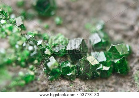 Uvarovite Is A Chromium-bearing Garnet. Macro.