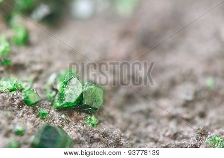 Uvarovite Is A Chromium-bearing Garnet. Macro.