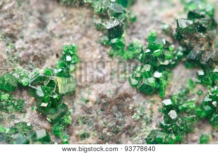 Uvarovite Is A Chromium-bearing Garnet. Macro.