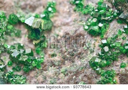 Uvarovite Is A Chromium-bearing Garnet. Macro.