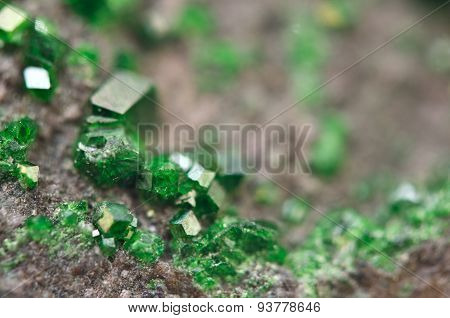 Uvarovite Is A Chromium-bearing Garnet. Macro.