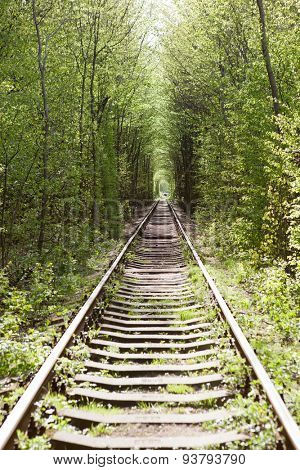 Railroad tunnel. Klevan, Ukraine.