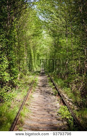 Railroad tunnel. Klevan, Ukraine.