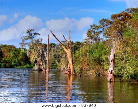 Panorama di Louisiana