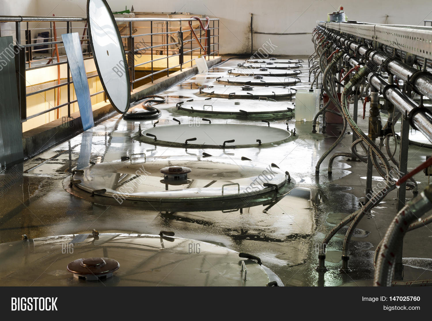 Cleaning Stainless Image & Photo (Free Trial) Bigstock