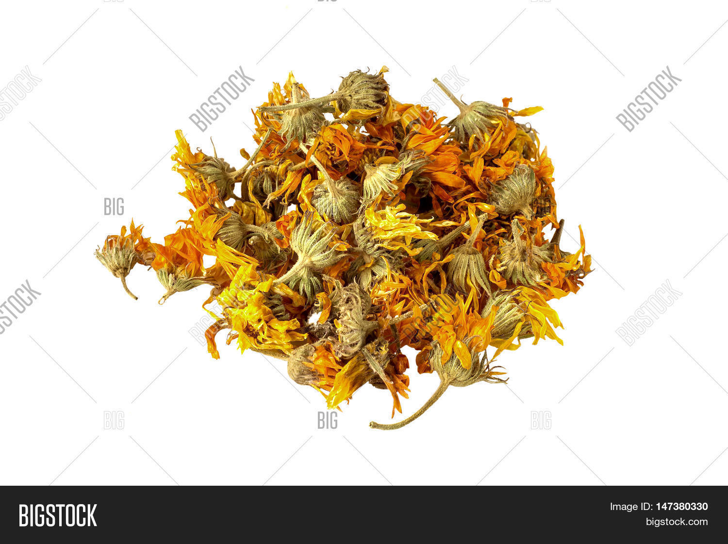 Dried Calendula Image & Photo (Free Trial) | Bigstock