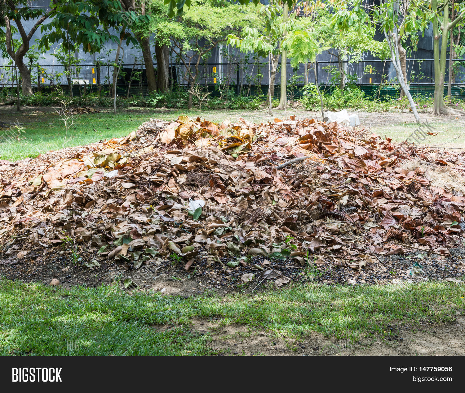 Куча листьев осень. Куча сухих листьев. Кучка осенних листьев. Осенние листья. Куча сухих листьев.