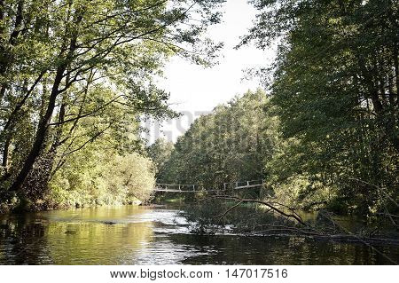 small river in the forest wooden bridge