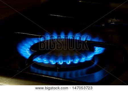 Gas stove flame