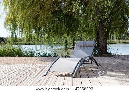Chair under a green tree at the pool