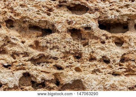 Background. The texture of limestone and lime close up. Formed by sedimentary rocks.