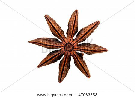 star anise  badian on a white background