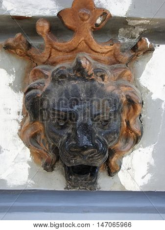 Bas-relief of a lion head from the tree on the wall.