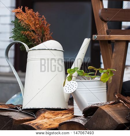 Old watering cans in the garden is decorated in a country style suburban area