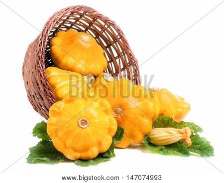 yellow pattypan squash with leaf and flower in a wicker basket isolated on white background.