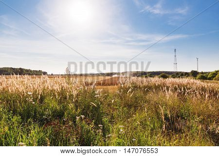 Natural autumn rural background - the grain combine reaps a crop from a field. Combine harvester that is harvesting wheat with dust straw in the air. Russia.