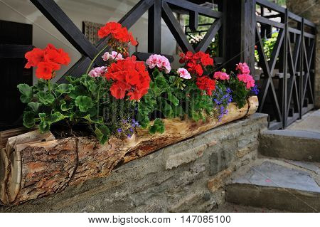 colorful flowerbed with elements of alpien buildings