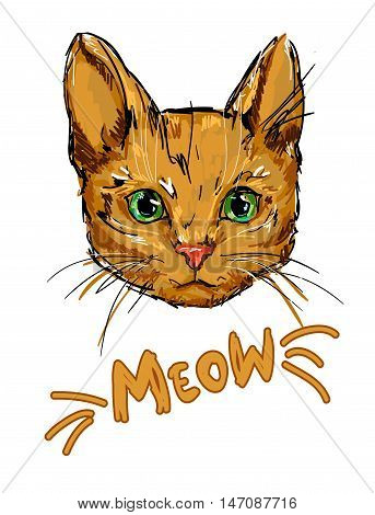 Red-headed cat vector, pet illustration, cat illustration, meow