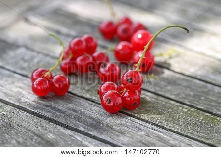 Closeup of red currant berries on wooden background.