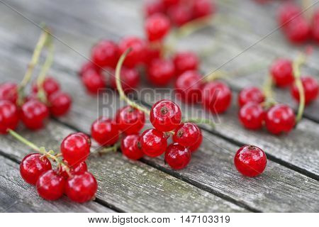 Closeup of red currant berries on wooden background.