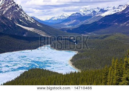 Peyto Lake-banff