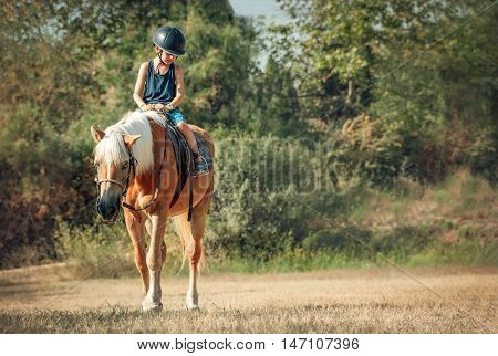 Little boy on the horse. Horseback riding